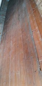 Schoten, 50 tot 150 cm, Ophalen of Verzenden, 10 m² of meer, 10 tot 30 cm