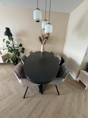 Ovale tafel + 6 stoelen, in goede staat! nieuwprijs €2215 beschikbaar voor biedingen