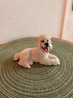 Mooie Poedel, Ophalen of Verzenden, Zo goed als nieuw