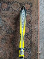 Skies 160 goed onderhouden en klaar, Overige merken, 160 tot 180 cm, Gebruikt, Ophalen of Verzenden