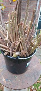 Aanmaakhoutjes + partijtje brandhout, Ophalen of Verzenden, Overige soorten, Volle zon