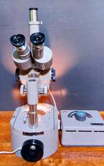 Vintage Olympus Microscoop - Jaren '60 - Werkend!, Audio, Tv en Foto, Optische apparatuur | Microscopen, Ophalen