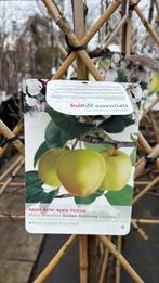 Fruitbomen (Leivorm/Laagstam/Halfstam/Hoogstam), Ophalen, Overige soorten, Lente