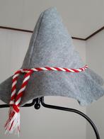 2 vilt hoeden nieuw., Hobby en Vrije tijd, Ophalen of Verzenden, Nieuw, Handschoenen, Hoed of Pet