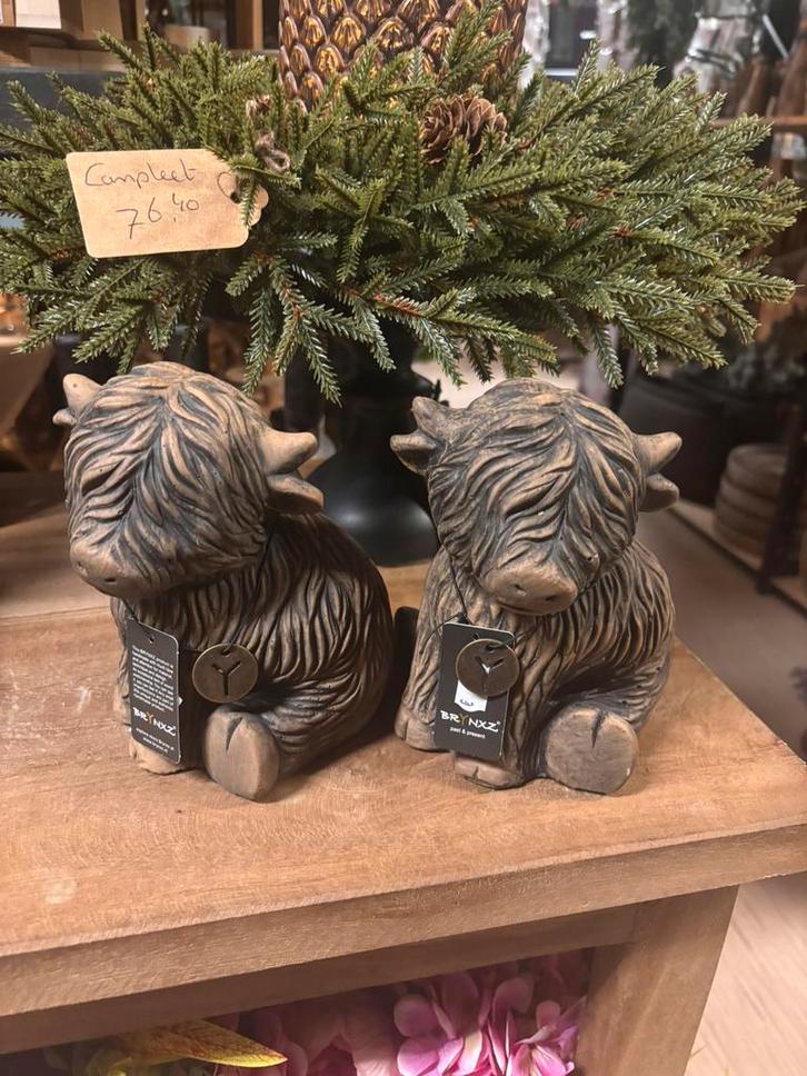 Brynxz scotty, Huis en Inrichting, Woonaccessoires | Boeddhabeelden, Nieuw, Ophalen of Verzenden