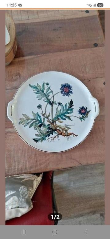 Mooi Gaaf Gebaksbord Botanica  beschikbaar voor biedingen