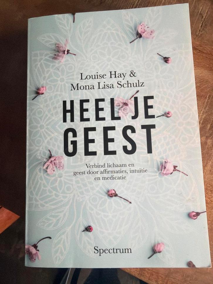 Heel je Geest - Louise Hay & Mona Lisa Schulz, Boeken, Esoterie en Spiritualiteit, Nieuw, Achtergrond en Informatie, Spiritualiteit algemeen