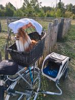 Hondenoppas vakantie