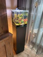 Dennerle Nano 30 setcompleet, bijna nieuw!, Dieren en Toebehoren, Vissen | Aquaria en Toebehoren, Ophalen, Zo goed als nieuw, Overige typen