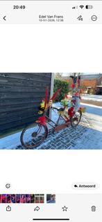 Tandem voor carnaval of gewoon een leuke tandem!, Ophalen of Verzenden, Gebruikt