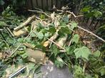 Brandhout, Minder dan 3 m³, Ophalen, Overige houtsoorten, Blokken