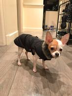 Hondenjasje van het merk Wolters, Dieren en Toebehoren, Ophalen of Verzenden, Zo goed als nieuw, Hondenjas