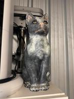 Katten beeld, Ophalen, Nieuw, Dier