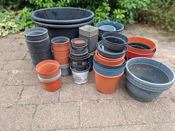 Plastic bloempotten, kweekpotten beschikbaar voor biedingen