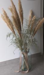 10 stuks gras Pampas pluimen Decoratie, Huis en Inrichting, Ophalen of Verzenden