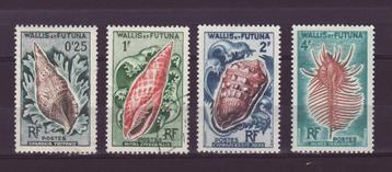 Wallis en Futuna Schelpen 162 beschikbaar voor biedingen