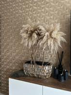 Pampas boom met vaas, Ophalen, Lvkvazen, Info@lvkvazen.com, Zevenhuizen