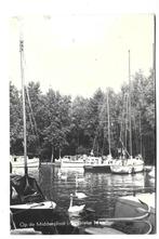 B7 Brielse Meer middenplaat  met zwanen, Ophalen of Verzenden, 1960 tot 1980, Gelopen, Zuid-Holland