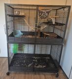 Savic Royal Suite XL, Dieren en Toebehoren, Knaagdieren en Konijnen | Hokken en Kooien, Ophalen, Kooi, 110 cm of meer, Zo goed als nieuw
