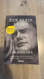 Hanya Yanagihara - Een klein leven, Ophalen of Verzenden, Zo goed als nieuw, Hanya Yanagihara, Amerika