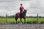 Verzorger/bijrijder gezocht, Ophalen, Zo goed als nieuw