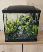 Superfish aquarium start 30   25 liter, Dieren en Toebehoren, Vissen | Aquaria en Toebehoren, Ophalen, Zo goed als nieuw, Leeg aquarium