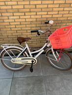 Alpina cargo fiets, Fietsen en Brommers, Ophalen, 22 inch, Alpina, Handrem