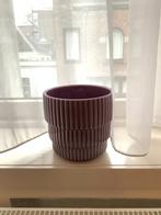 Plant pot, Ophalen, In pot, Halfschaduw, Minder dan 100 cm