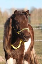 Handgemaakte touwproducten voor paarden, Dieren en Toebehoren, Ophalen of Verzenden, Zo goed als nieuw, Overige soorten