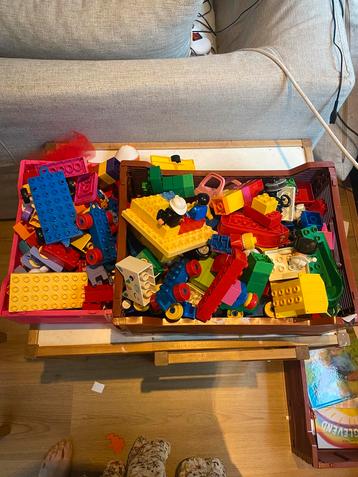 Duplo beschikbaar voor biedingen