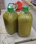 Olijfolie puur 5 liter =€50 100 procent puur 2025, Ophalen of Verzenden