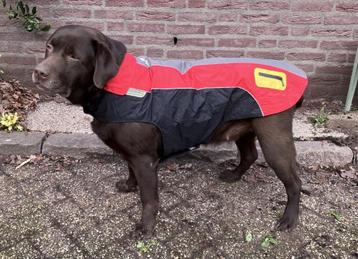 Hondendeken beschikbaar voor biedingen
