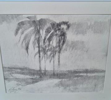 Potloodtekening Palmbomen - A.B. Jongmaars beschikbaar voor biedingen