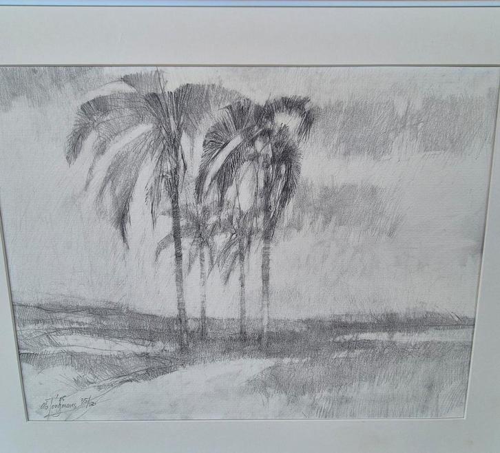 Potloodtekening Palmbomen - A.B. Jongmaars, Antiek en Kunst, Kunst | Tekeningen en Foto's, Ophalen