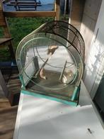 Antiek stalen vogelhuisje, Antiek en Kunst, Ophalen