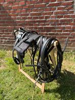 shetlander tuig, Dieren en Toebehoren, Ophalen, Zo goed als nieuw, Overige soorten
