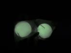 Spikeballs (glow in the dark) - 2 stuks NIEUW, Drie personen of meer, Juni