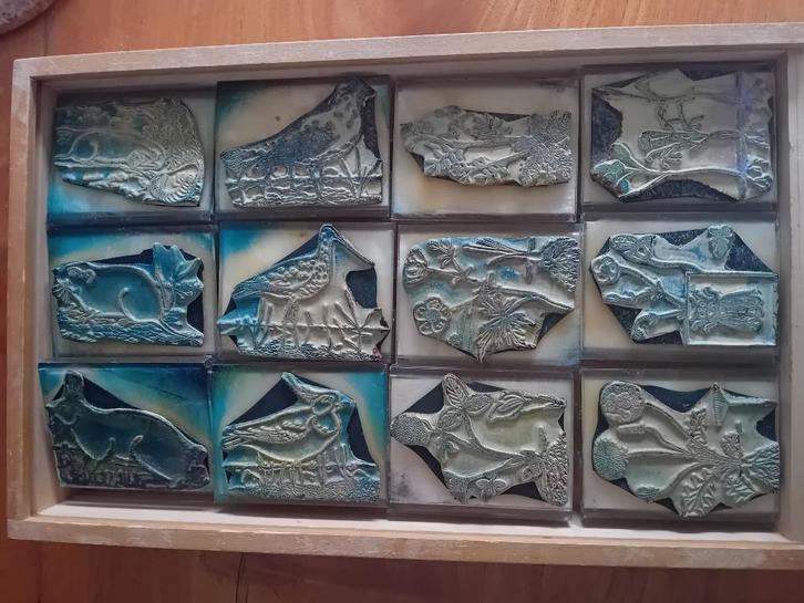 Grote vintage, oude schoolstempels Biologie, Hobby en Vrije tijd, Stempelen, Gebruikt, EZ-mounted stempel, Ophalen of Verzenden