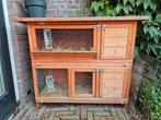 Konijnenhok 2 verdiepingen, Dieren en Toebehoren, Knaagdieren en Konijnen | Hokken en Kooien, Ophalen, 90 cm of meer, Hok, 110 cm of meer