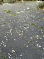 Tegels 100 x 100, Tuin en Terras, Ophalen, Zo goed als nieuw, Natuursteen, Terrastegels