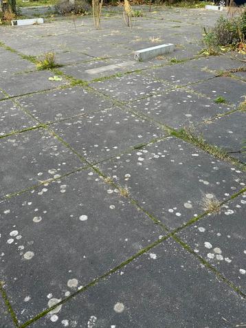 Tegels 100 x 100 beschikbaar voor biedingen