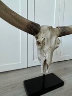 Imitatie Dierenkop Kunst - Hoorns Afneembaar, Ophalen of Verzenden, Zo goed als nieuw