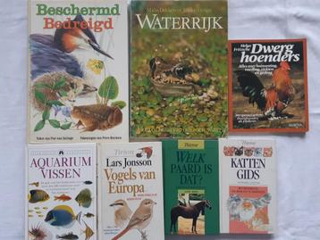 Natuur 9:  Vogels, vissen, hoenders, paarden, katten beschikbaar voor biedingen