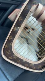 Pomeriaan theecup, Dieren en Toebehoren, Particulier, 15 weken tot 1 jaar, Buitenland, Eén hond