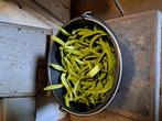 Verse biologische snijbonen uit eigen tuin!!, Diversen, Ophalen