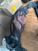 Cottelli Collection Panty - Zwart - Maat S, Kleding | Dames, Maat 36/38 (S), Zwart, Ophalen of Verzenden, Panty