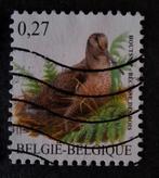 België houtsnip, Ophalen of Verzenden