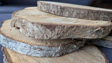 7 Berken boomschijven. Ca. 28 cm.  beschikbaar voor biedingen