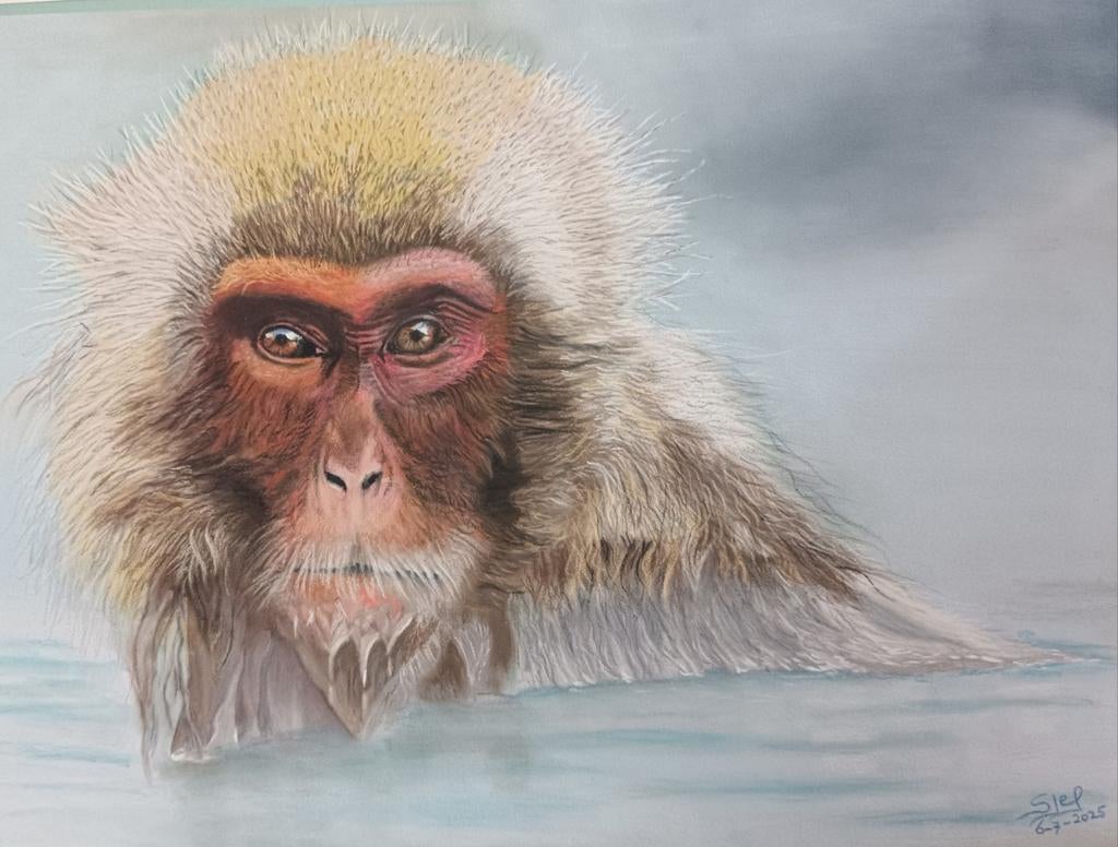Schilderij in softpastel van een Wild Snow Monkey, Antiek en Kunst, Ophalen of Verzenden