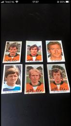 Fc Groningen panini vanderhout 1979-1980, Verzamelen, Sportartikelen en Voetbal, Ophalen of Verzenden, Gebruikt, Overige binnenlandse clubs